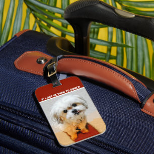 Malshi Dog Luggage Tag