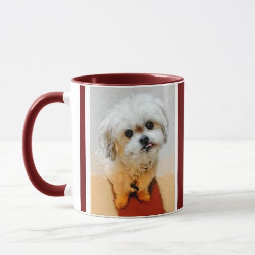Malshi Dog Maroon Personalized Mug
