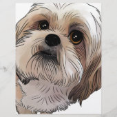 Malshi Mal-shi (Front)