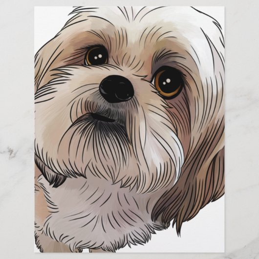 Malshi Mal-shi (Front)