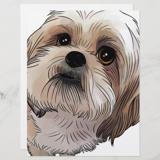 Malshi Mal-shi (Front/Back)