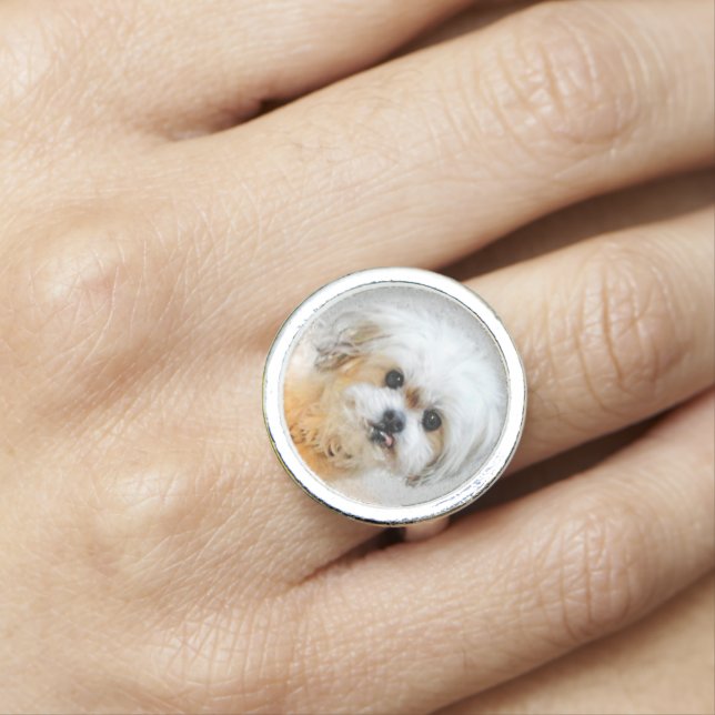 Malshi Ring (In Situ)