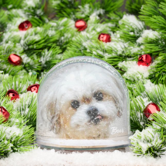 Malshi Snow Globe (Christmas)