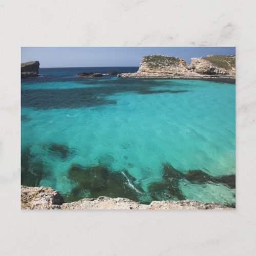 Malta Comino Island The Blue Lagoon Postcard