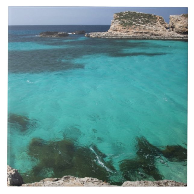 Malta, Comino Island, The Blue Lagoon Tile (Front)