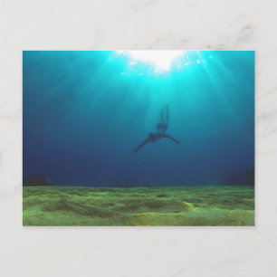Malta Snorkeling Postcard