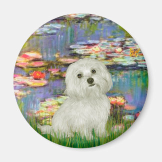 Maltese 11 - Lilies 2 Magnet