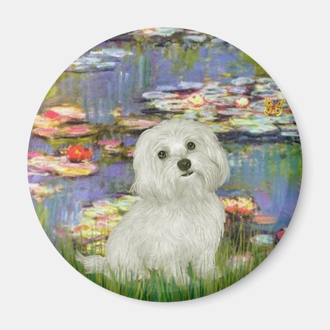 Maltese 11 - Lilies 2 Magnet (Front)