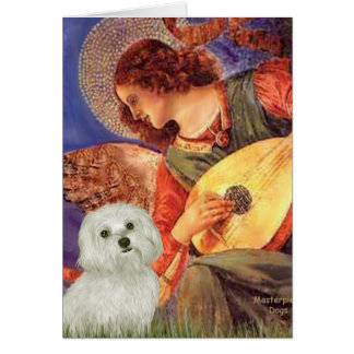 Maltese 11 - Mandolin Angel Cards