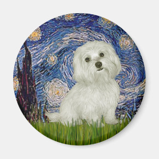 Maltese 11 - Starry Night Magnet