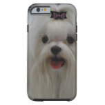 maltese-23.jpg tough iPhone 6 case