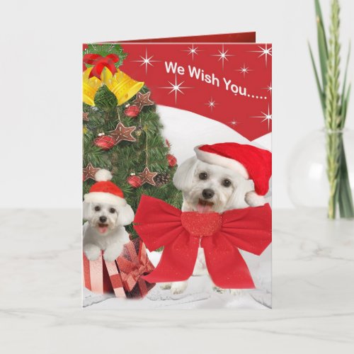 Maltese and Puppy wish you Merry Christmas Holiday Card