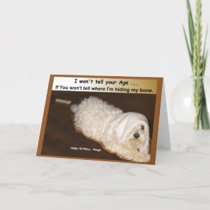 Maltese Birthday Humor Card for Over the Hill