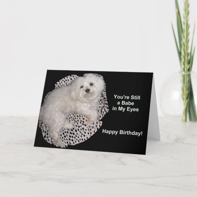 Maltese Birthday Wishes on Black & White Card (Front)