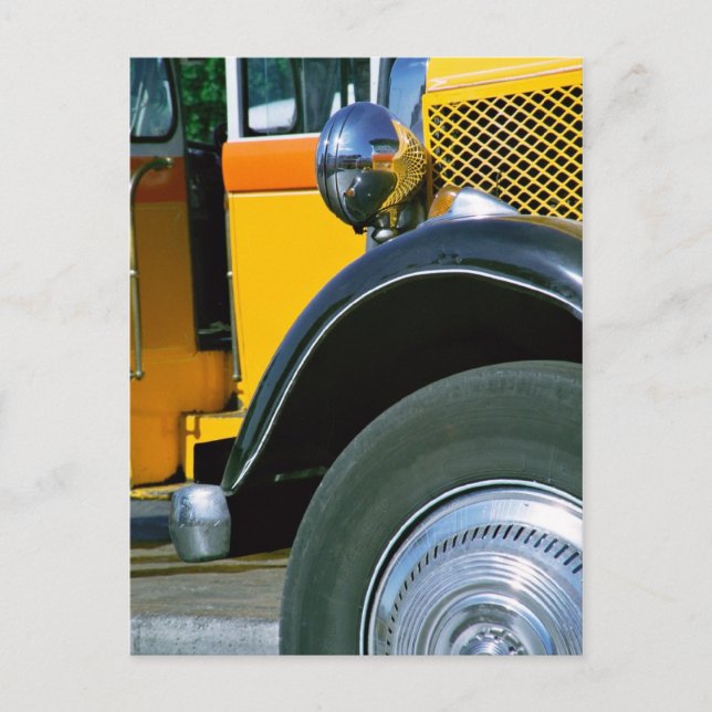 Maltese bus Postcard (Front)