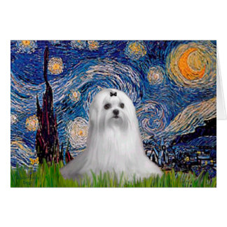 Maltese (C) - Starry Night Cards