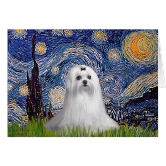 Maltese (C) - Starry Night Cards (Front Horizontal)