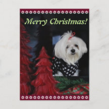 Maltese Christmas