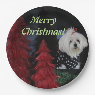 Maltese Christmas Paper Plates