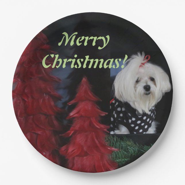 Maltese Christmas Paper Plates (Front)