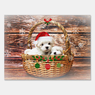 Maltese Christmas Puppies Sign