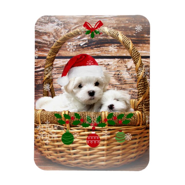 Maltese Christmas Puppies, so cute and cuddly Magnet (Vertical)