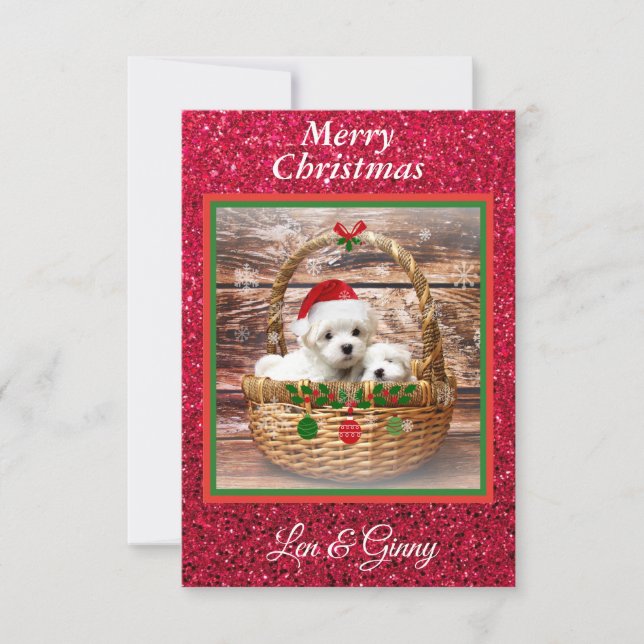 Maltese Christmas Puppies Template (Front)