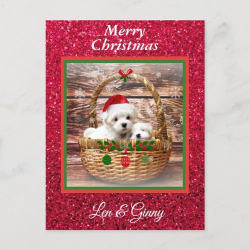 Maltese Christmas Puppies Template  Postcard