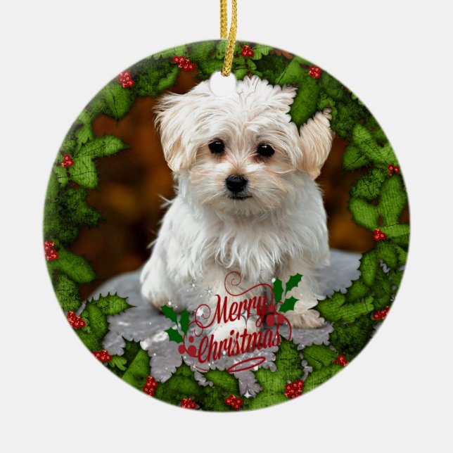 Maltese Christmas Puppy  Ceramic Ornament (Front)