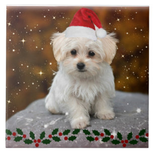 Maltese Christmas Puppy Ceramic Tile