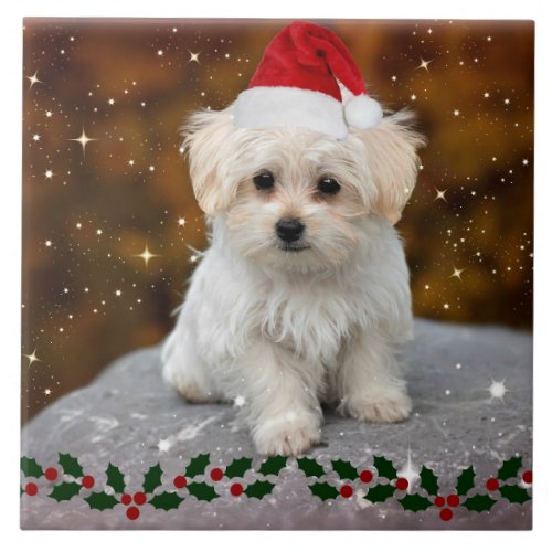 Maltese Christmas Puppy Ceramic Tile