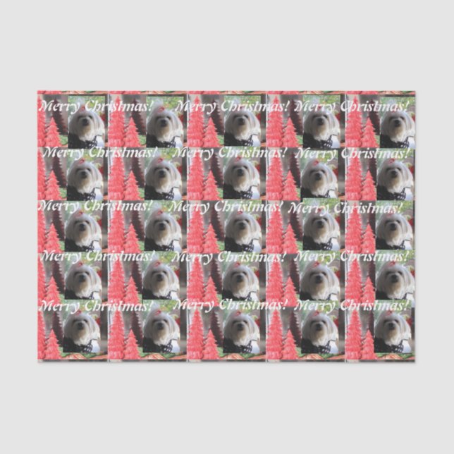 Maltese Christmas with Red Trees Tissue Paper (Front)