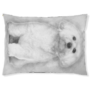 Maltese Dog 2 Years Old Silver Background Pet Bed