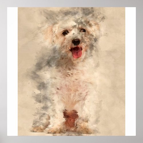 Maltese Dog 3 Years Old Color Painting Poster