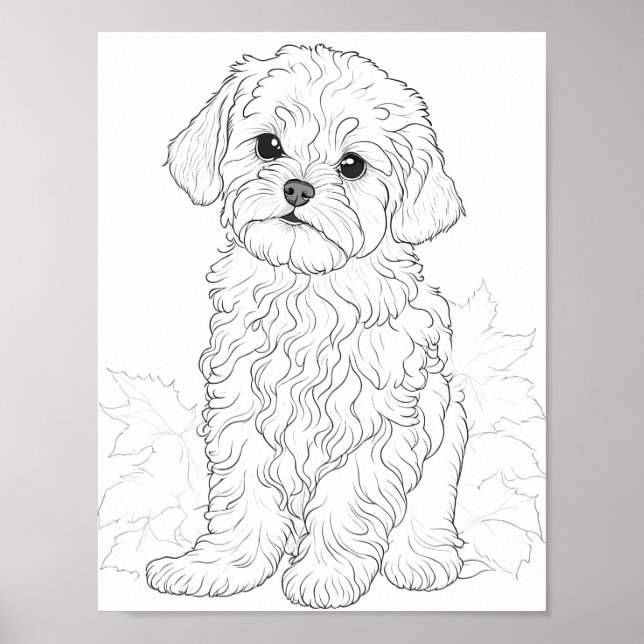 Maltese Dog Adult Coloring Poster (Front)