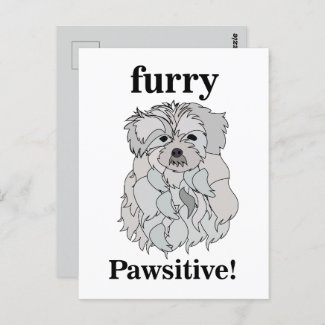 Maltese Dog Animal Pet Funny Postcard