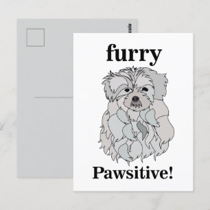 Maltese Dog Animal Pet Funny Postcard