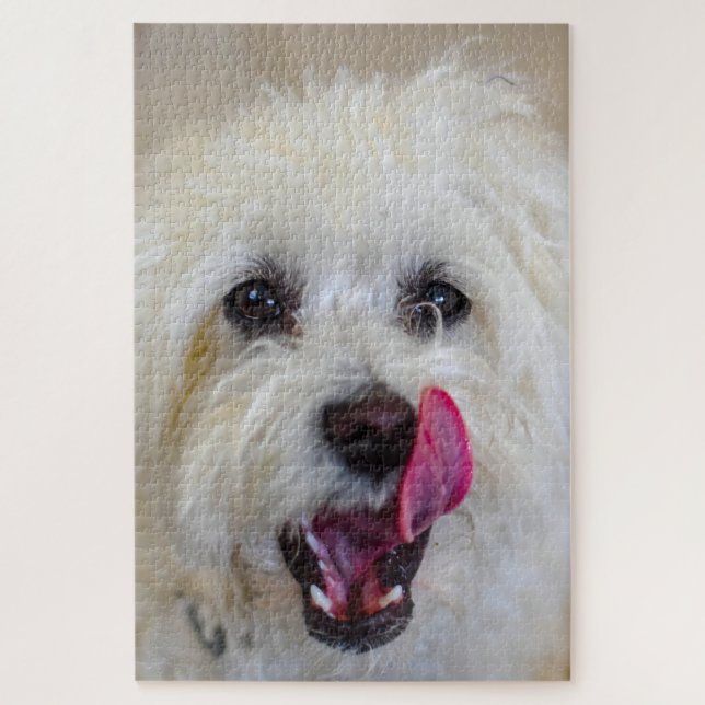 Maltese Dog Breed. Jigsaw Puzzle (Vertical)
