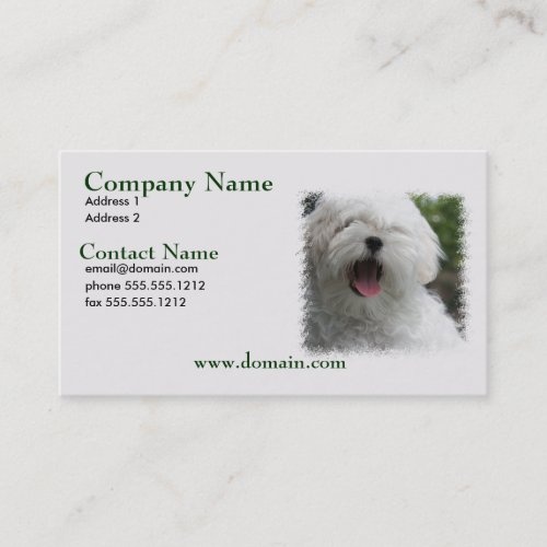 Maltese Dog Busienss Card Business Card Templates