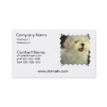 Maltese Dog Business Card