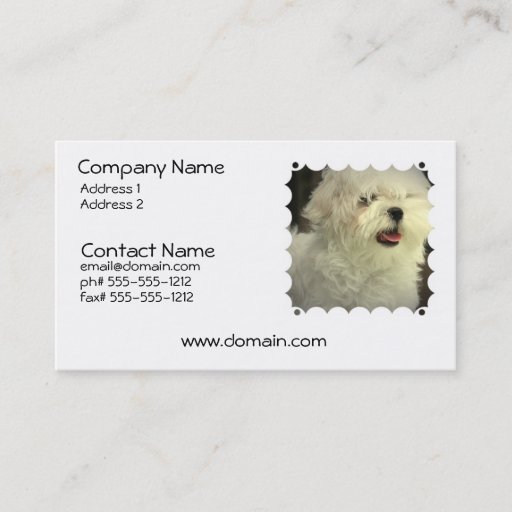 Customizable Maltese Dog Business Card
