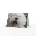 Maltese Dog Card