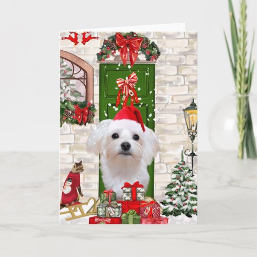 Maltese Dog Christmas  Card