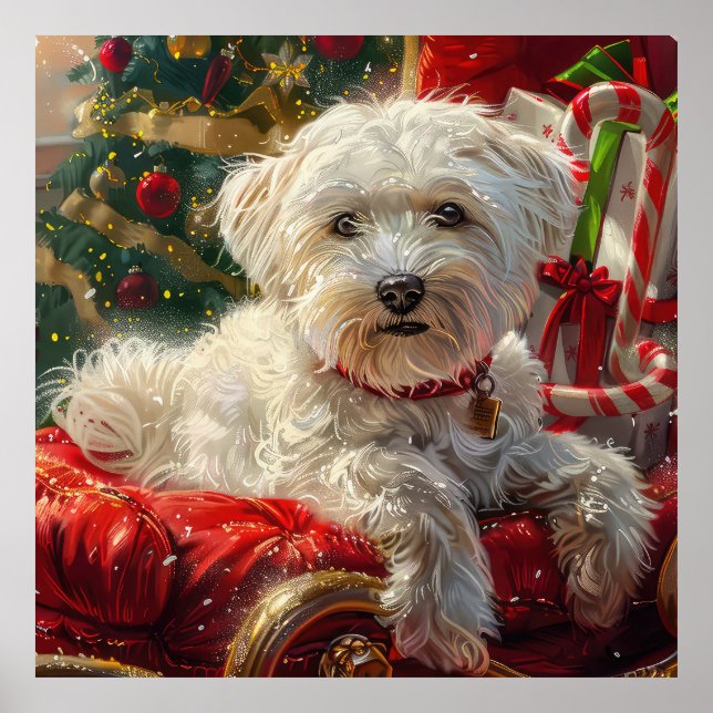 Maltese Dog Christmas Festive Poster (Front)