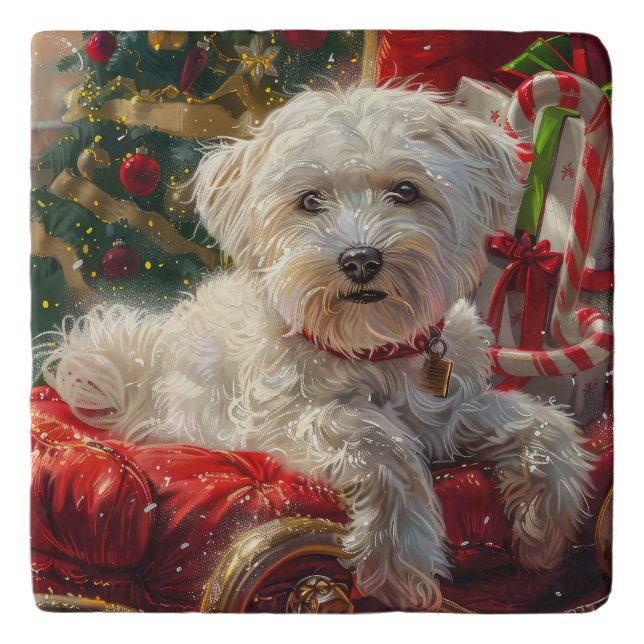 Maltese Dog Christmas Festive Trivet (Front)