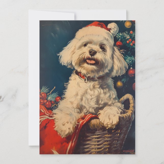 Maltese dog Christmas Holiday Card (Front)