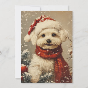 Maltese dog Christmas Holiday Card