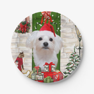 Maltese Dog Christmas  Paper Plates