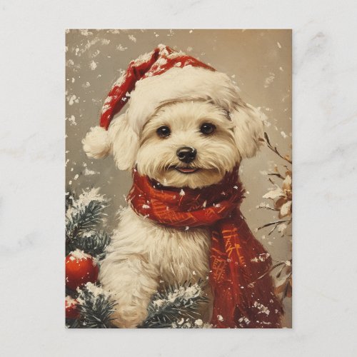 Maltese dog Christmas  Postcard