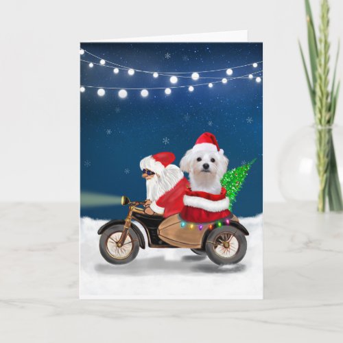 Maltese Dog Christmas Santa Claus Card